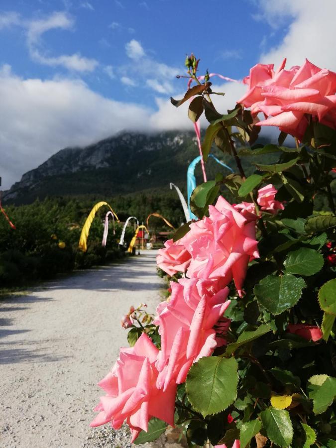 Hotel Restaurant Rose Des Pyrenees Belvianes-et-Cavirac ภายนอก รูปภาพ